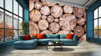 The natural backdrop of the round saw cut of trees in the whole frame. Wall mural