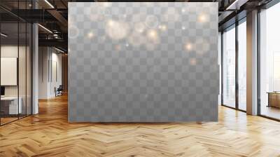 Bokeh light lights effect background. Gold dust PNG. Christmas background of shining dust Christmas glowing bokeh confetti and spark overlay texture for your design.	
 Wall mural