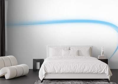 Luminous blue lines png of speed. Format PNG. Light glowing effect png. Abstract motion lines. Light trail wave, fire path trace line, car lights, optic fiber and incandescence curve twirl	
 Wall mural