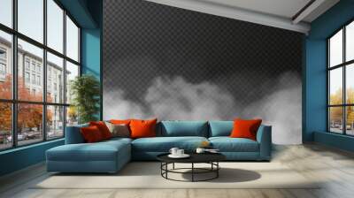 vector isolated smoke png. white smoke texture on a transparent black background. special effect of  Wall mural