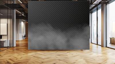 Vector isolated smoke PNG.
White smoke texture on a transparent black background.
Special effect of steam, smoke, fog, clouds. Wall mural