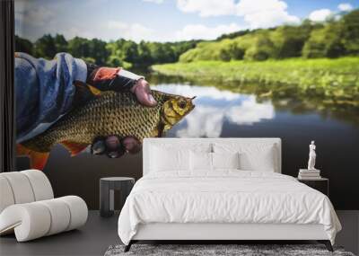 A beautiful fish in the fisherman's hand. Wall mural