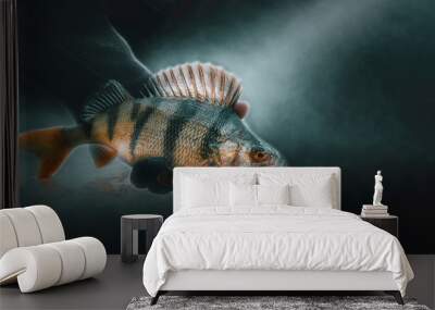 Close-up perch on a black background. Wall mural