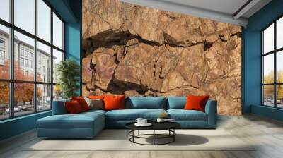 close view of the rocks Wall mural