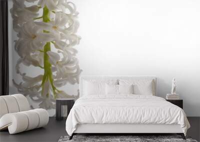 white sprig of hyacinth on a white isolated background Wall mural