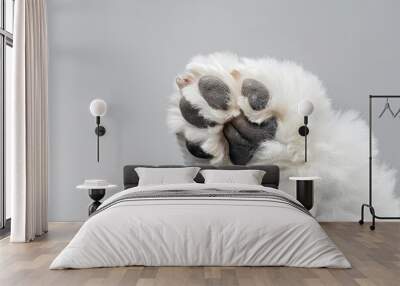 A human hand holding a fluffy dog's paw with black pads, against a white background Wall mural