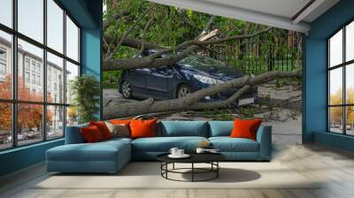 Car under a fallen tree after a storm Wall mural