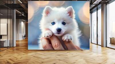 white pomeranian puppy Wall mural