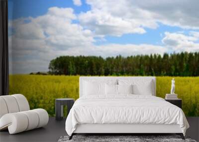 Panoramic photo of rapeseed field with road against the background of sky and sun in summer Wall mural