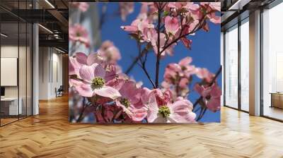 Flowering trees  Wall mural