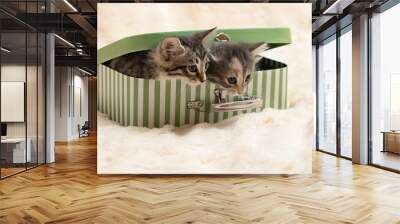 Two cute kittens peek out of a gift box in the form of a small suitcase Wall mural