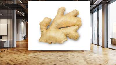 Fresh raw ginger isolated on white background, top view. Wall mural