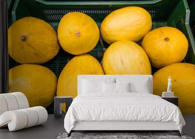 Melons on the counter in the store. Melon close-up, melon background Wall mural