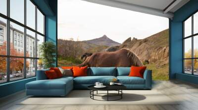 Horse in the mountains Wall mural