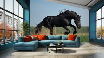 Friesian horse stallion Wall mural