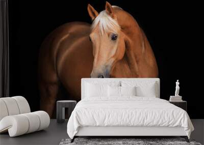 The Nightingale Horse portrait black background Wall mural