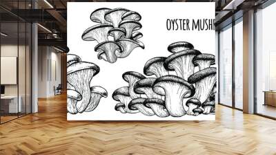 Oyster mushrooms Vector illustration hand drawn, family of edible mushrooms, graphic drawing with lines, Healthy organic food, vegetarian food, fresh mushrooms isolated on white background Wall mural