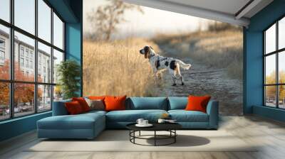 dog english springer spaniel Wall mural