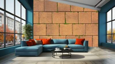 pattern of terracotta paving slabs with grass in joints Wall mural