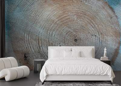 annual rings of the wood , the texture of the trunk sawn, rough texture. Wall mural