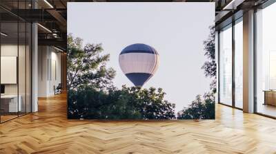 hot air balloon is flying at sunrise. romantic balloon flights Wall mural