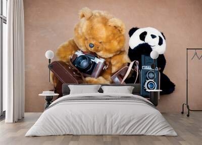 two bears with photo cameras Wall mural