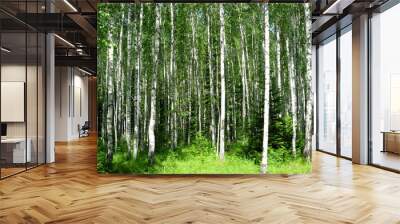 siberian summer forest Wall mural