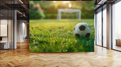 Soccer ball on a green lawn against the background of a football goal Wall mural