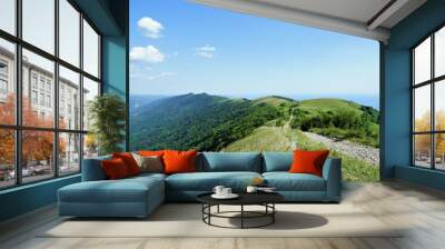 landscape in the summer Wall mural