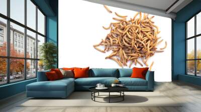 Heap of meal worms for feeding pets isolated on white background Wall mural