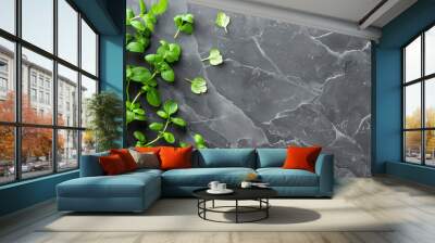 A leafy green plant is on a black surface. The plant is surrounded by a few other leaves Wall mural