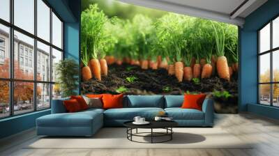 A row of carrots are growing in a field Wall mural