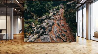 A close up of a rock a mountain Wall mural