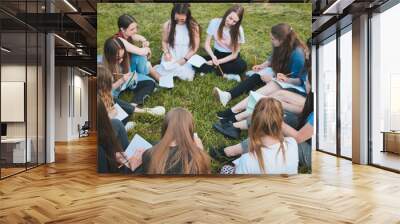 A group of female students are sitting in a circle on a meadow for collective work with notebooks. Wall mural