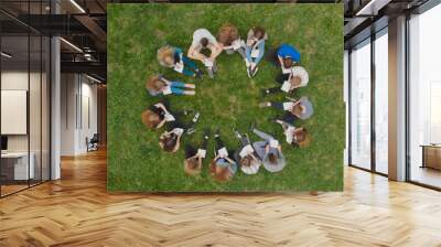 A group of students are sitting in a circle and books on the grass. Wall mural