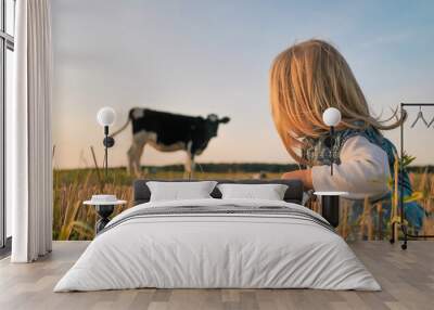 A little girl looks at a young cow in a field on a warm summer evening. Wall mural