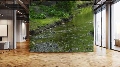 river in the park
 Wall mural