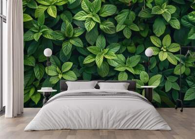 A close-up shot of a bunch of green leaves Wall mural