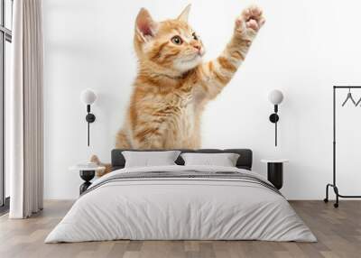 A curious kitten stretching its paw to grab a flying ball Wall mural