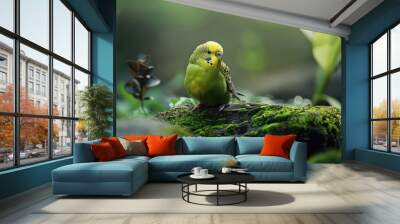 A small green bird perched on a mossy rock, surrounded by nature Wall mural