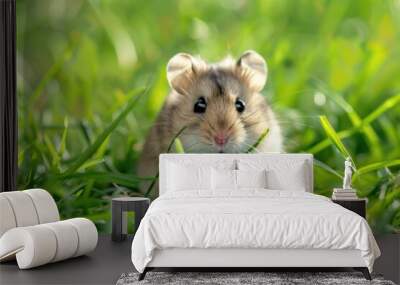 A small hamster is sitting in the grass Wall mural