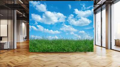 A sunny day scene with lush green grass and a clear blue sky Wall mural