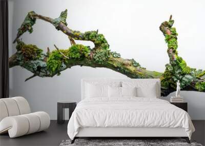 A tree branch covered in green moss and foliage Wall mural