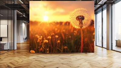 Beautiful dandelion with sunset background, suitable for nature concepts Wall mural