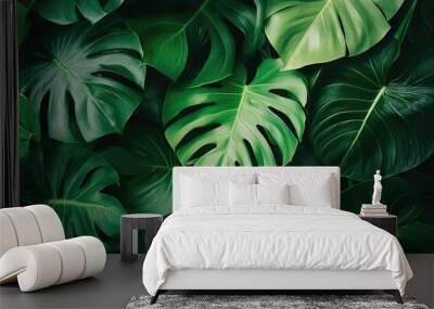 Close-up of green leaves Wall mural