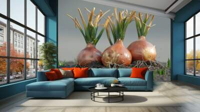 Fresh onions in natural soil, perfect for gardening projects Wall mural