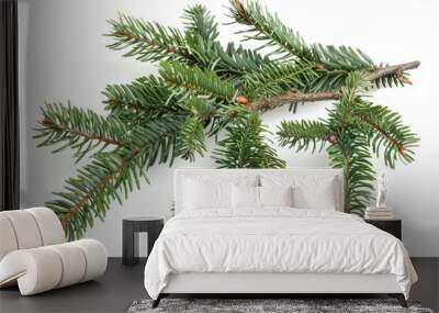 Pine Tree Branch Close Up Wall mural