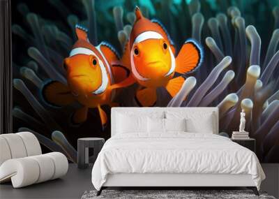 Two clown fish in anemone Wall mural