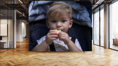 closeup portrait of a handsome little boy with blond hair Wall mural