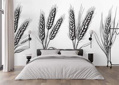 Wheat ears, spikelets sketch. Hand drawn rye in vintage engraving style. Farm organic food concept. Vector illustration Wall mural